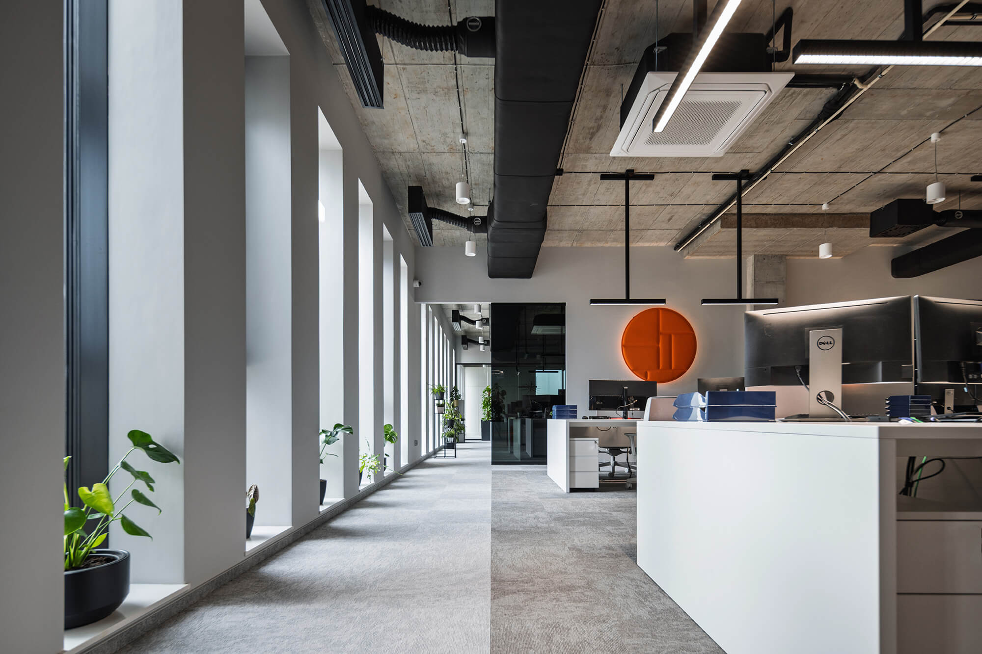 Nowoczesne biuro z oknami, roślinami i logo firmy. Przestrzeń biurowa Overis.