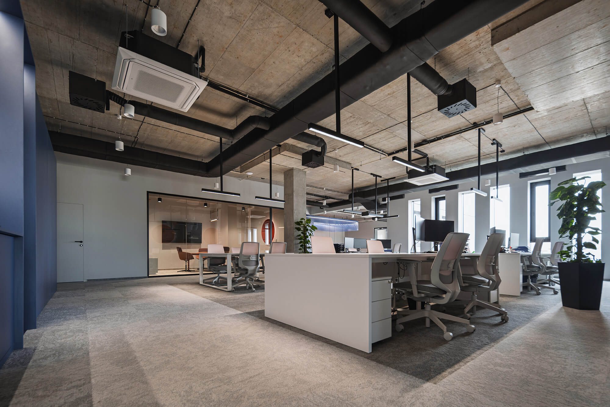 Nowoczesne biuro z otwartą przestrzenią, szary dywan i odsłonięty betonowy sufit.