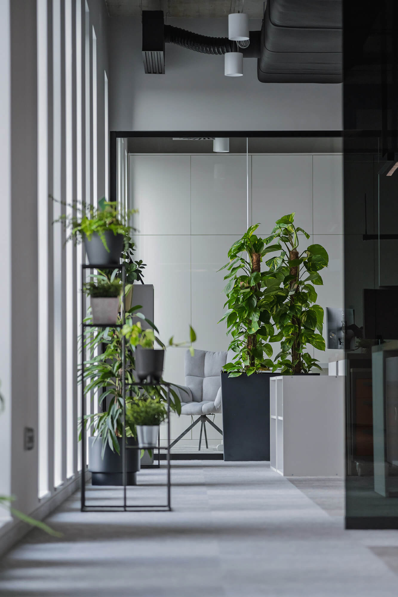 Nowoczesne biuro z roślinami w donicach przy oknie i szarym krzesłem w tle.