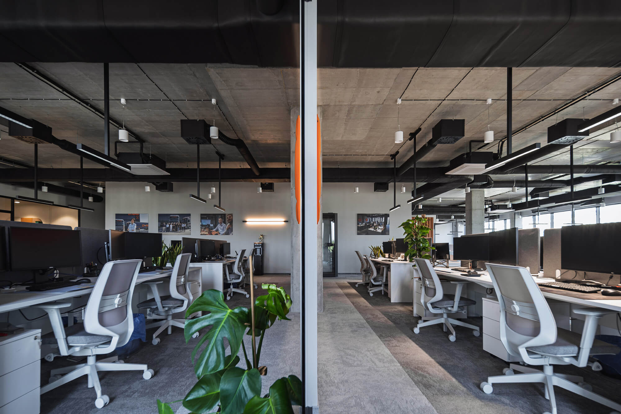 Nowoczesne biuro z betonowym sufitem, biurkami i krzesłami. Roślina na pierwszym planie.