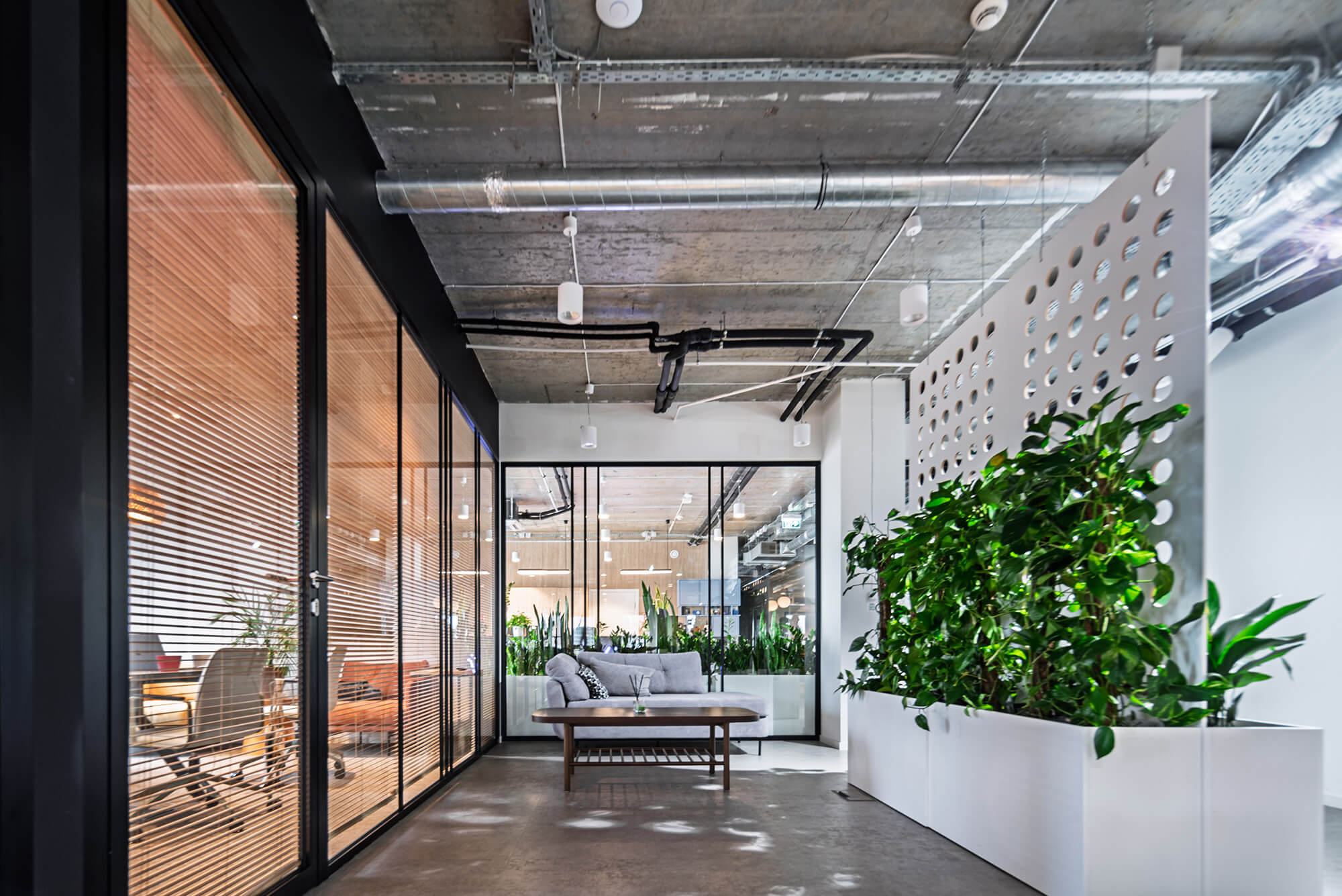 Widok na nowoczesne biuro z roślinami i betonowym sufitem.