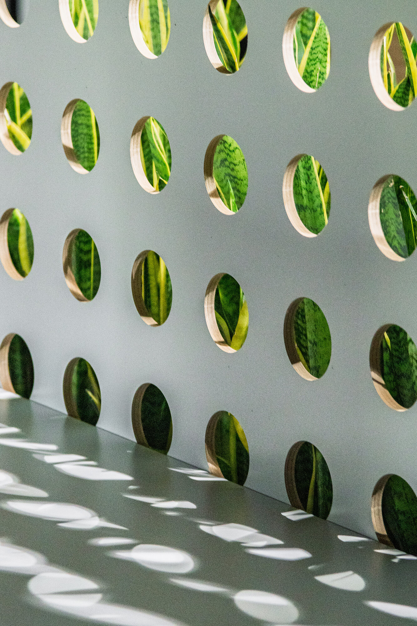 Ściana z otworami, przez które widać rośliny. Cienie na podłodze.