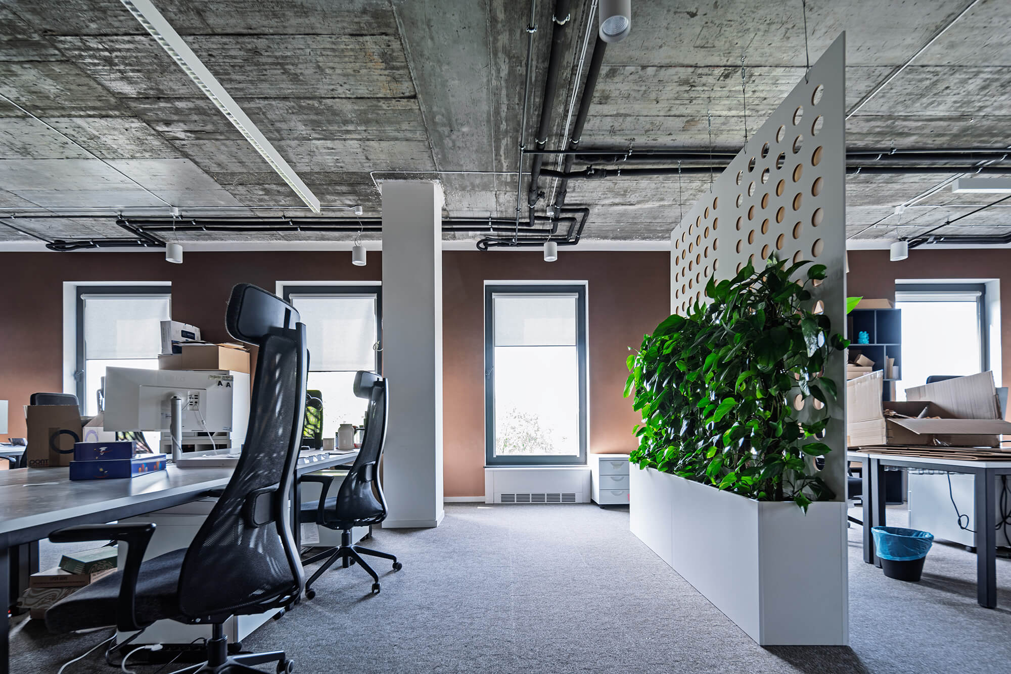 Nowoczesne biuro z roślinami, szary dywan, brązowe ściany i betonowy sufit.