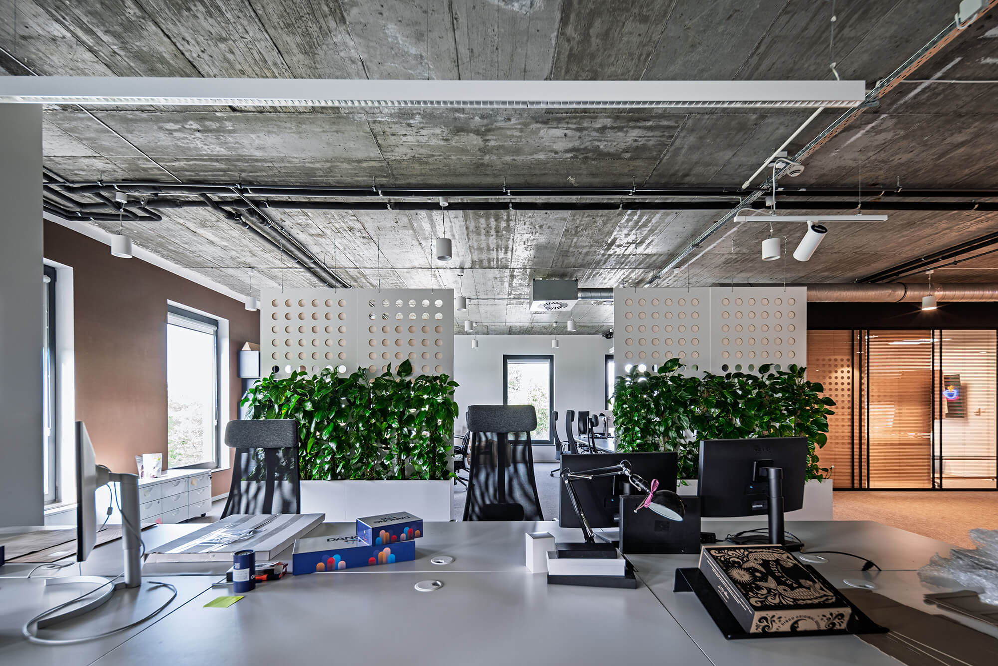 Nowoczesne biuro z roślinami i surowym betonowym sufitem.
