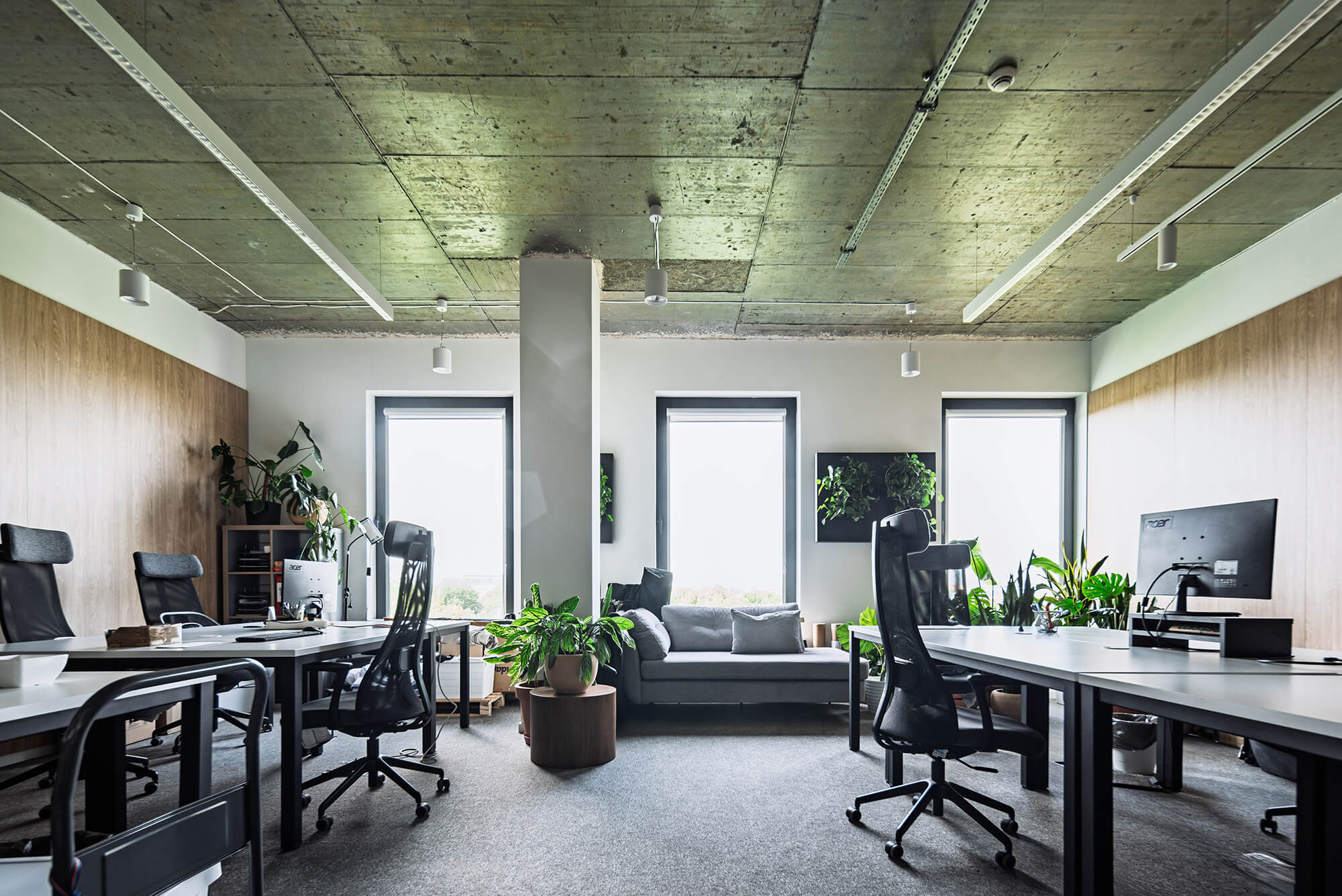 Nowoczesne biuro z betonowym sufitem, roślinami i szarymi biurkami. Przestrzeń do pracy.