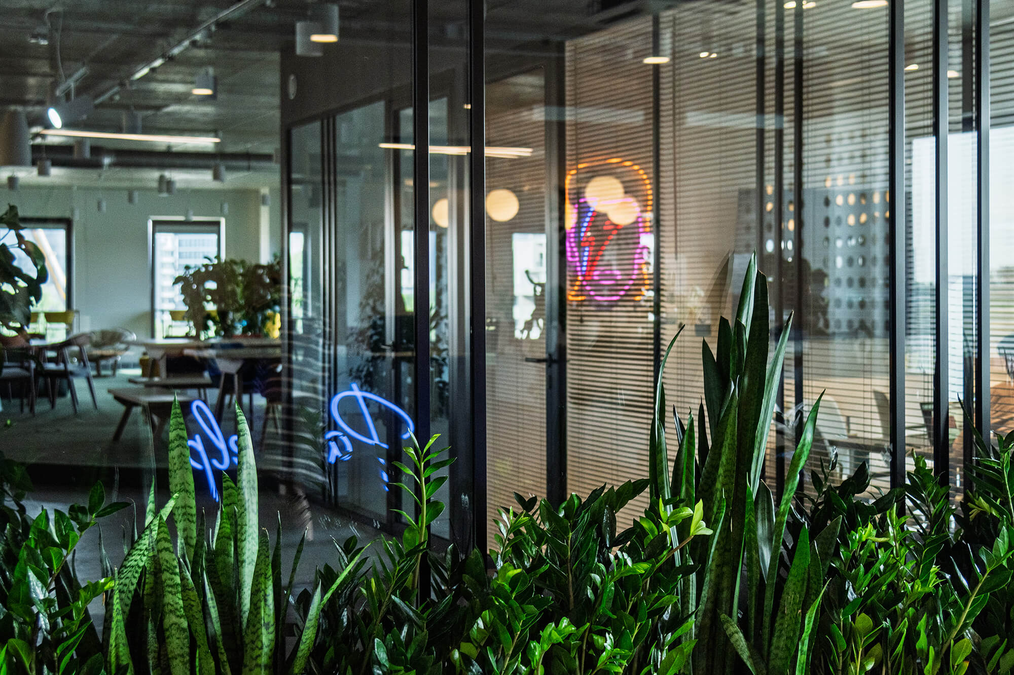 Modern office interior with plants, glass walls, and neon lighting