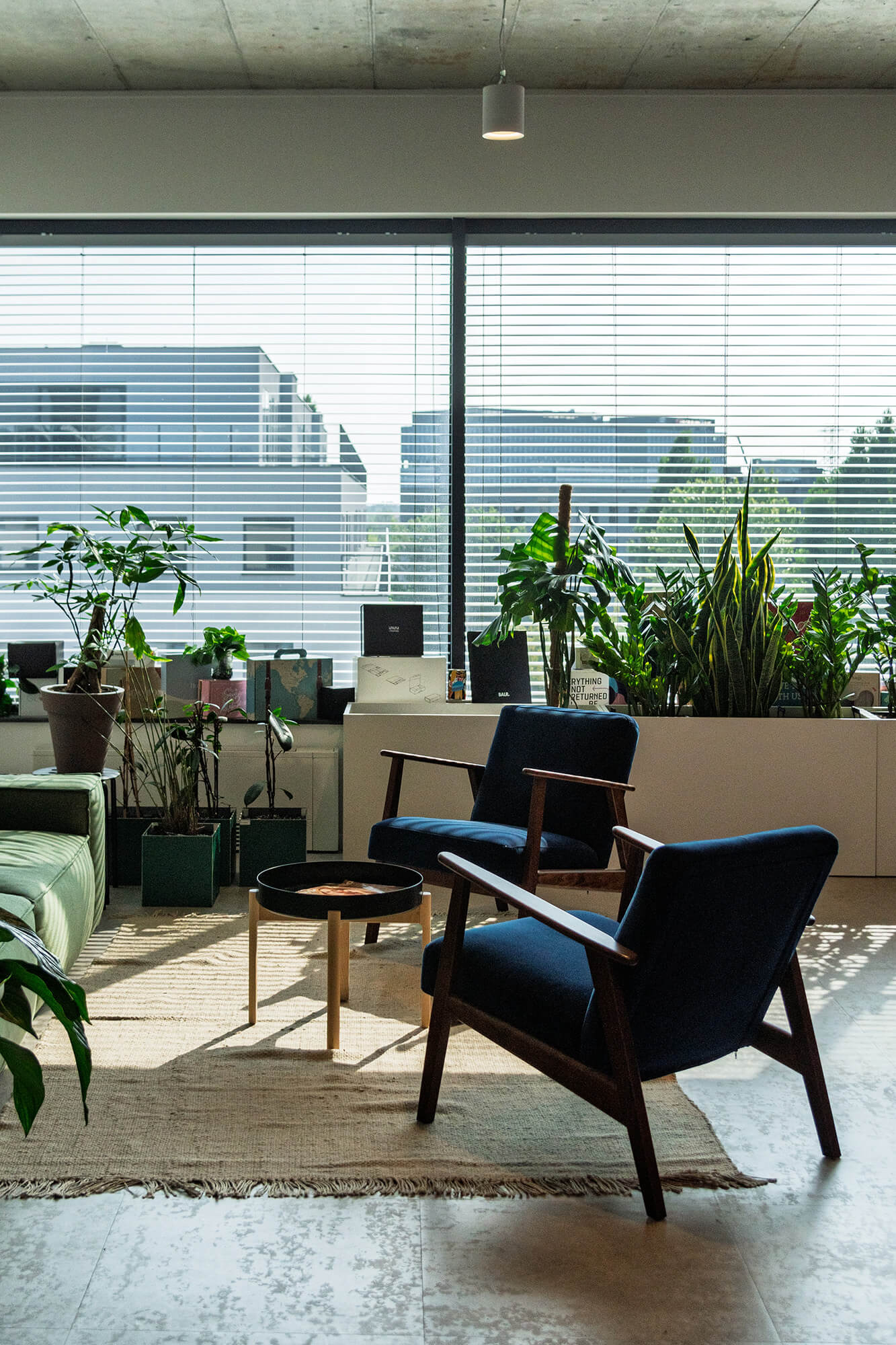 Wnętrze: krzesła, rośliny w doniczkach przy oknie. Jasne, nowoczesne biuro.