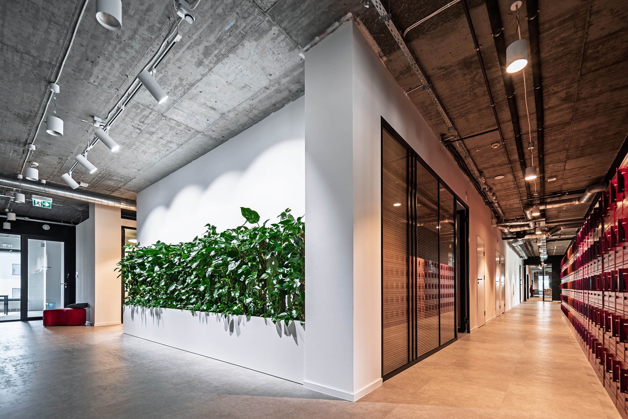 Nowoczesne biuro z zieloną ścianą, betonowym sufitem i szklanymi ścianami działowymi.