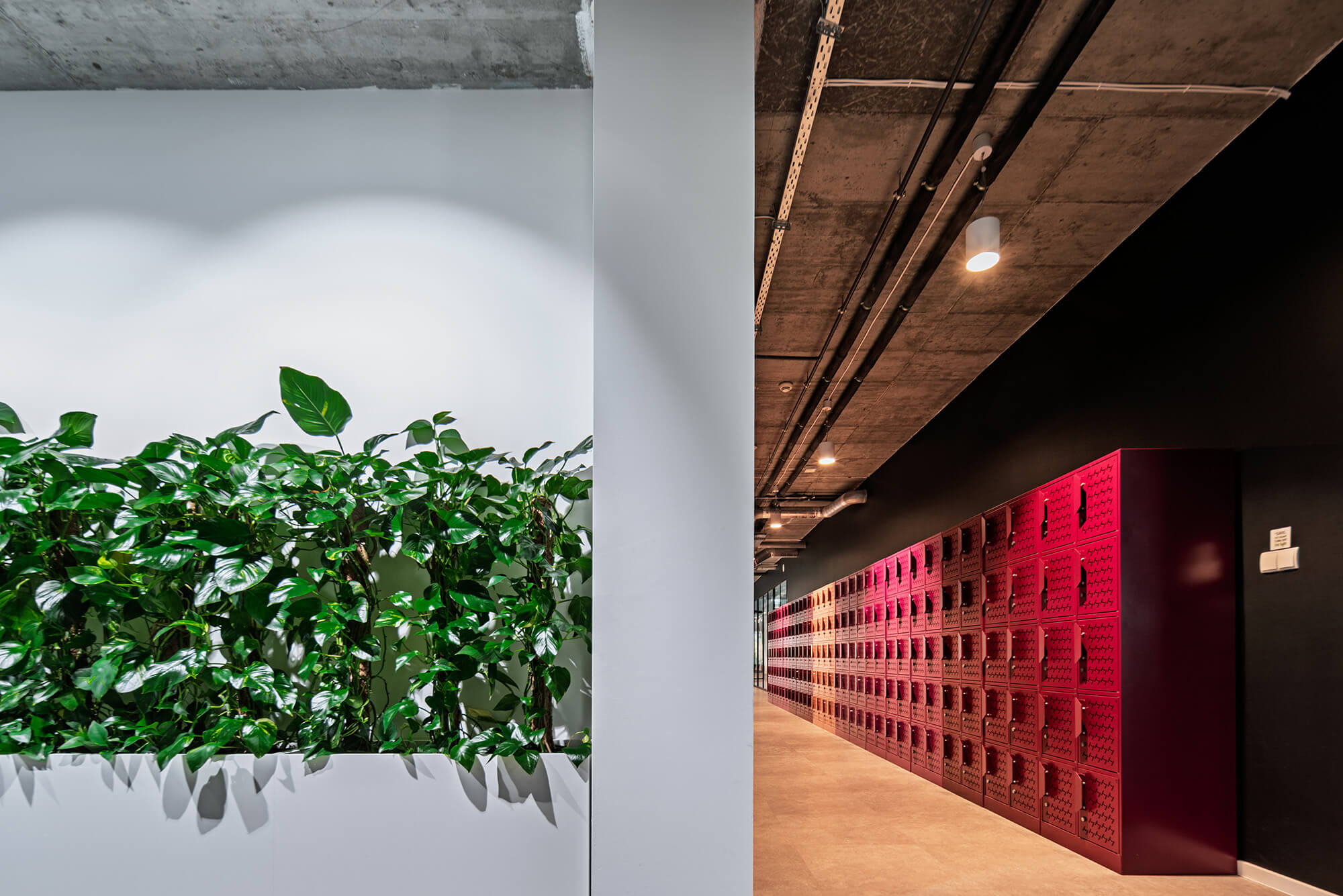 Modern office space with green plants and red lockers.