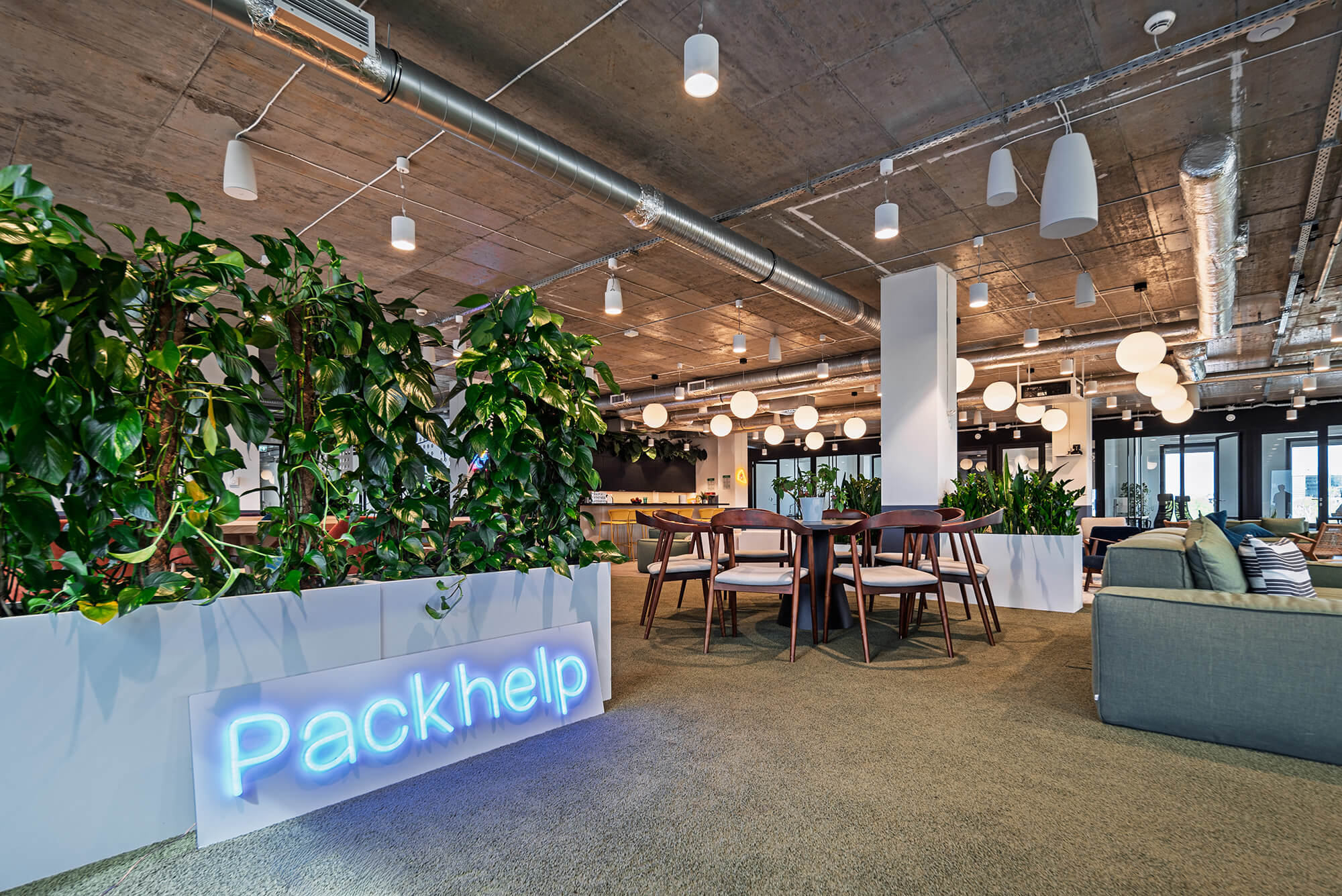 Biuro Packhelp z roślinami i miejscem do pracy. Nowoczesne wnętrze.