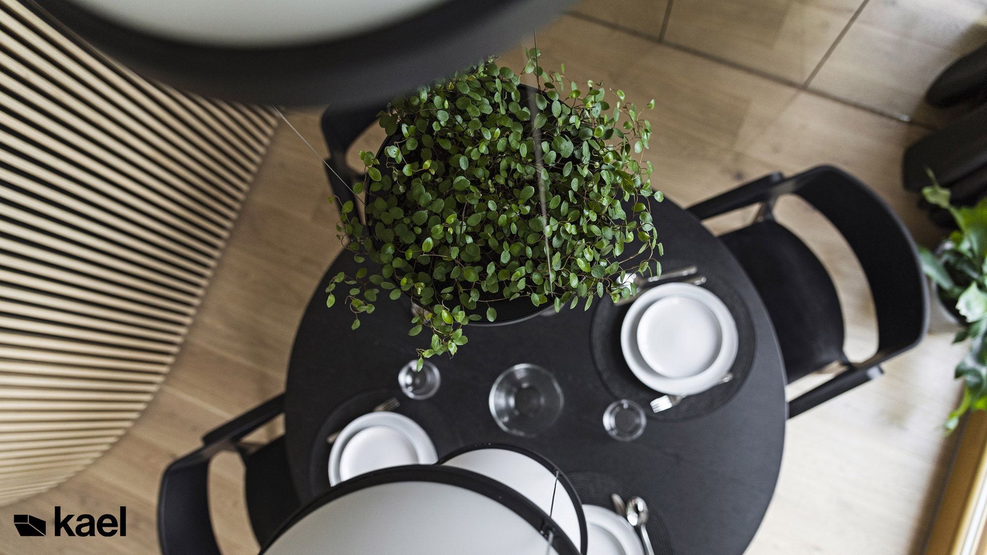 Detale - roślina - Ostródzka - projekt wnętrza Kael